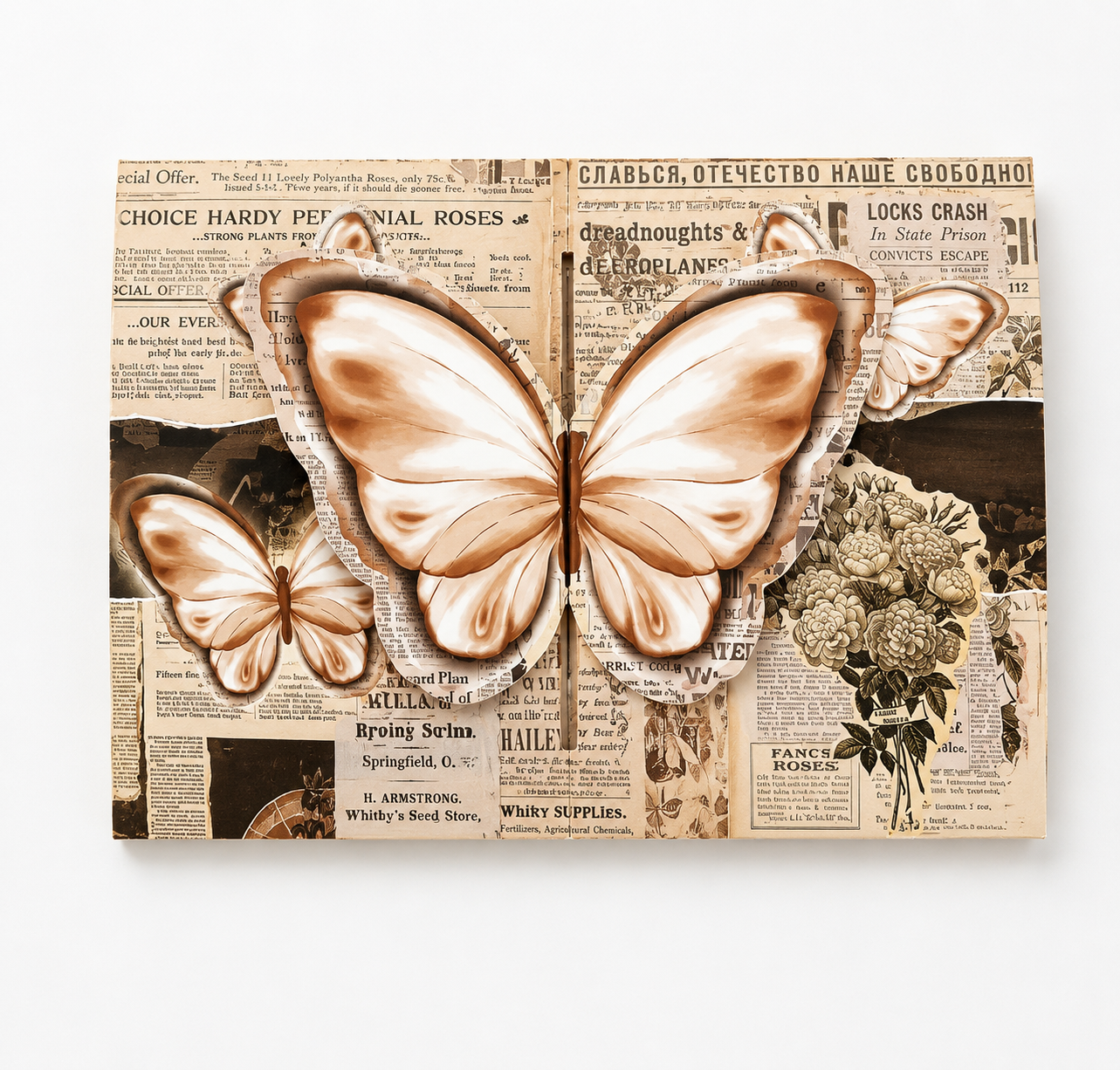 3D Butterfly Greeting Card