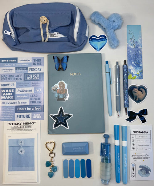 Aesthetic Bundle
