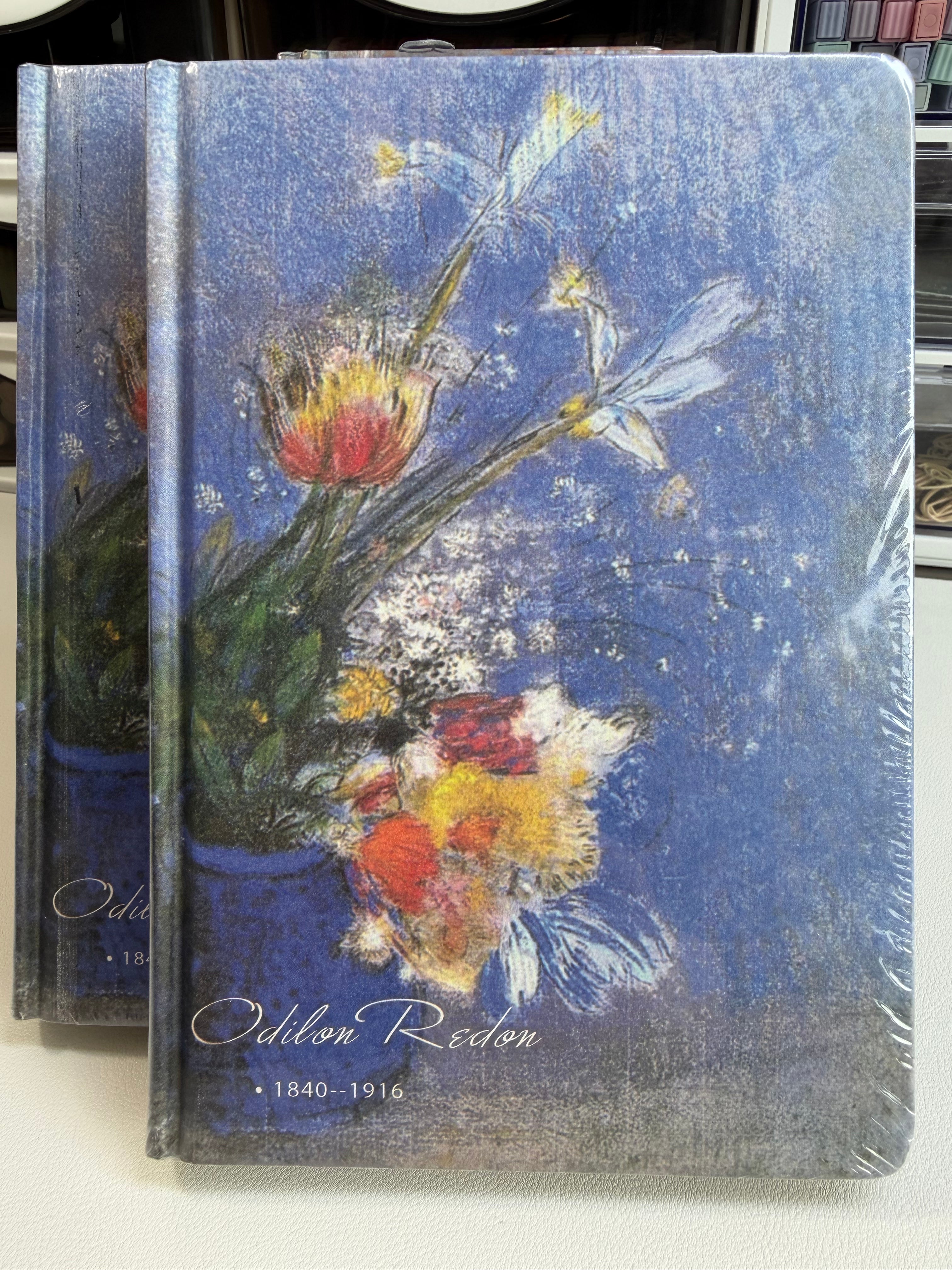 Odilon Redon Art Journal